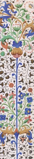 Fleurs